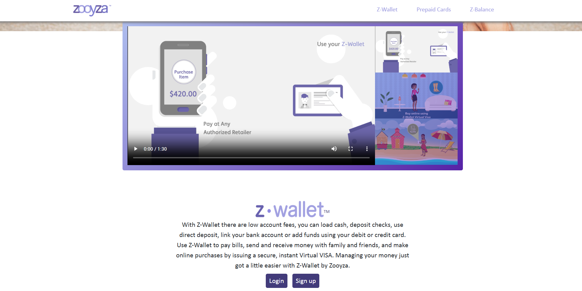 Zooyza Website Before