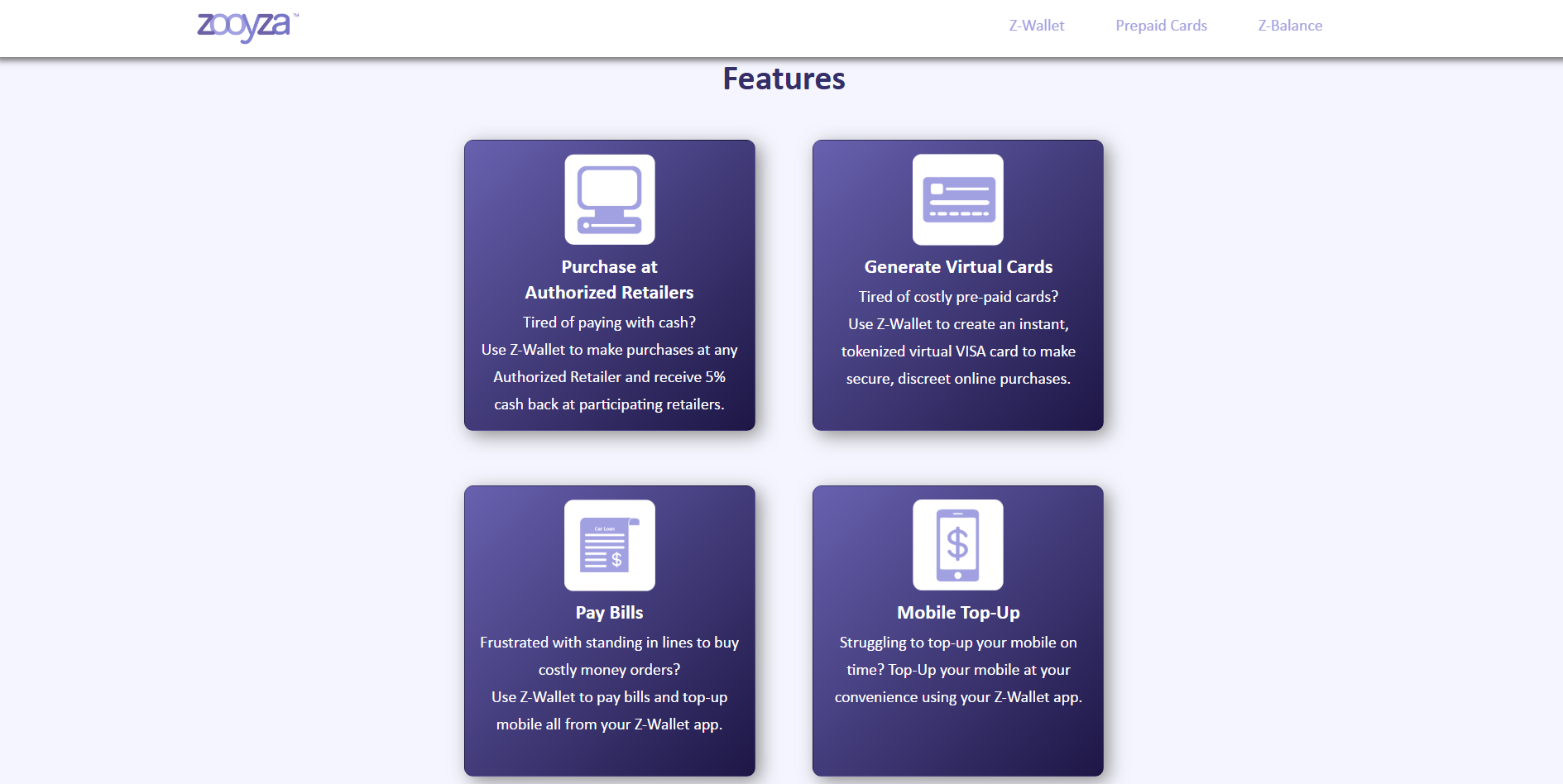 Zooyza Website Before