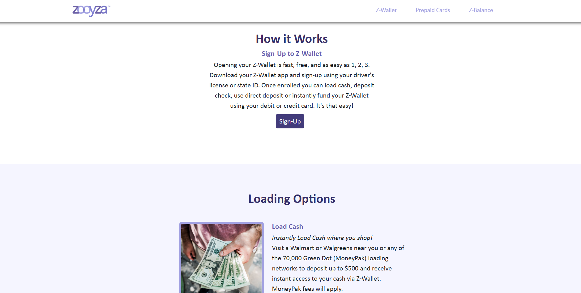 Zooyza Website Before