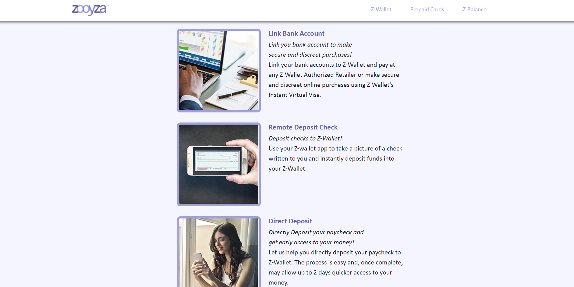 Zooyza Website Before
