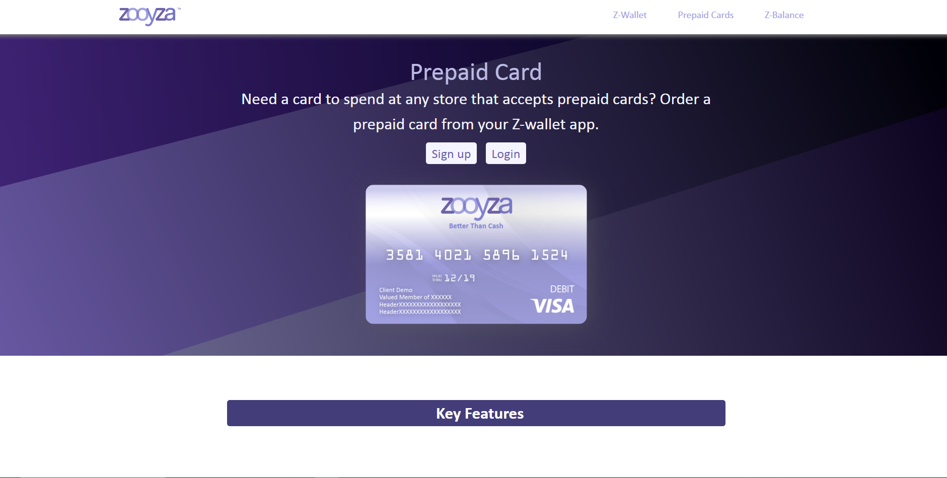 Zooyza Website Before