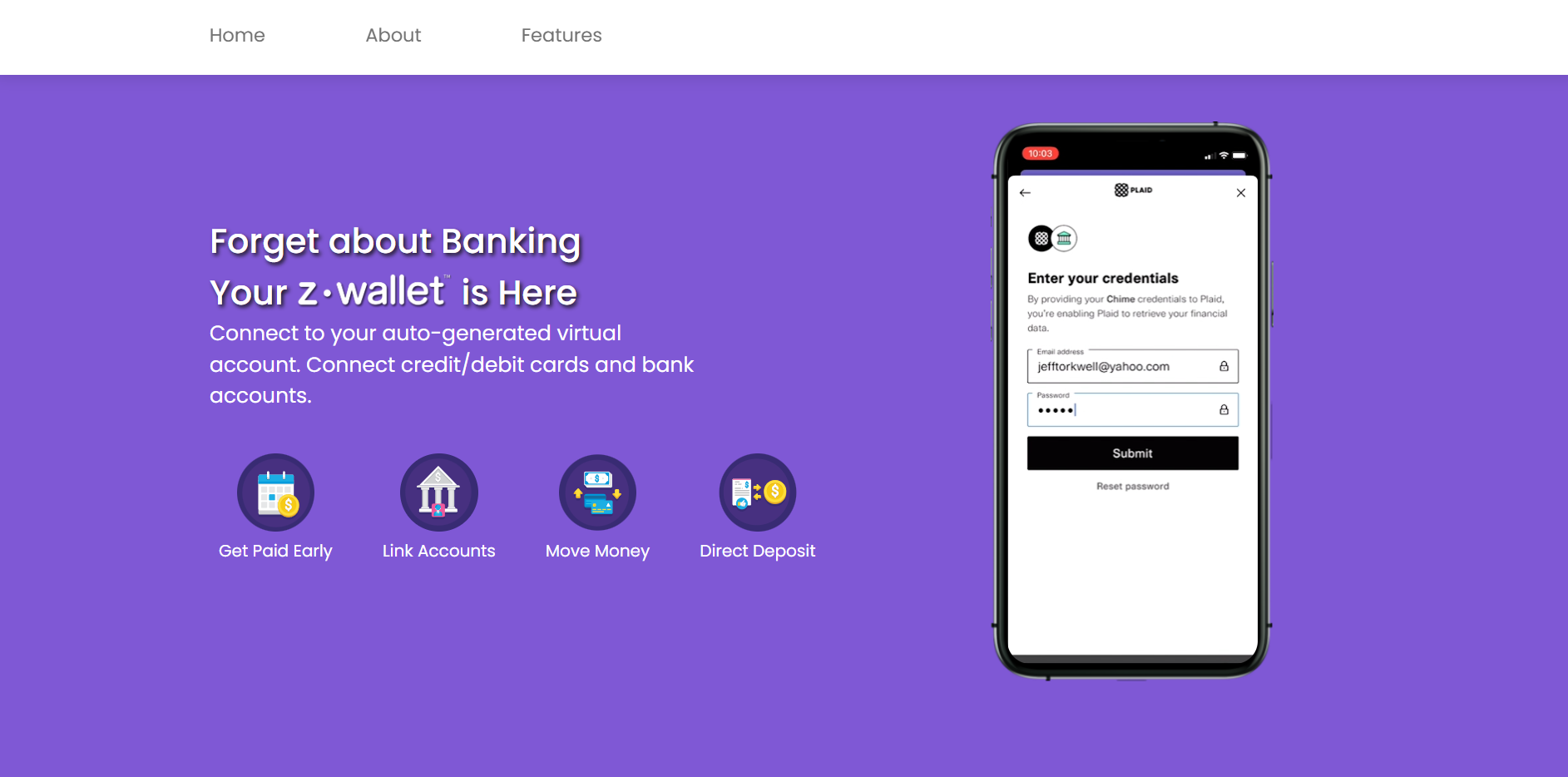 Zooyza Website After