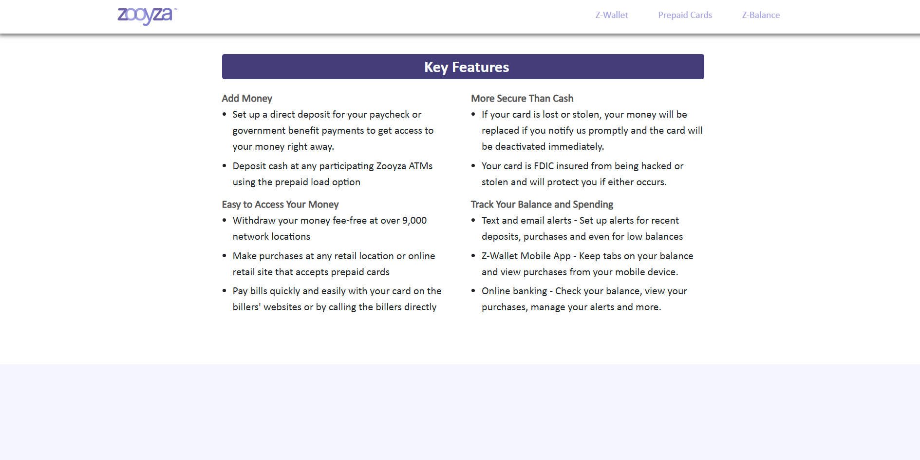 Zooyza Website Before