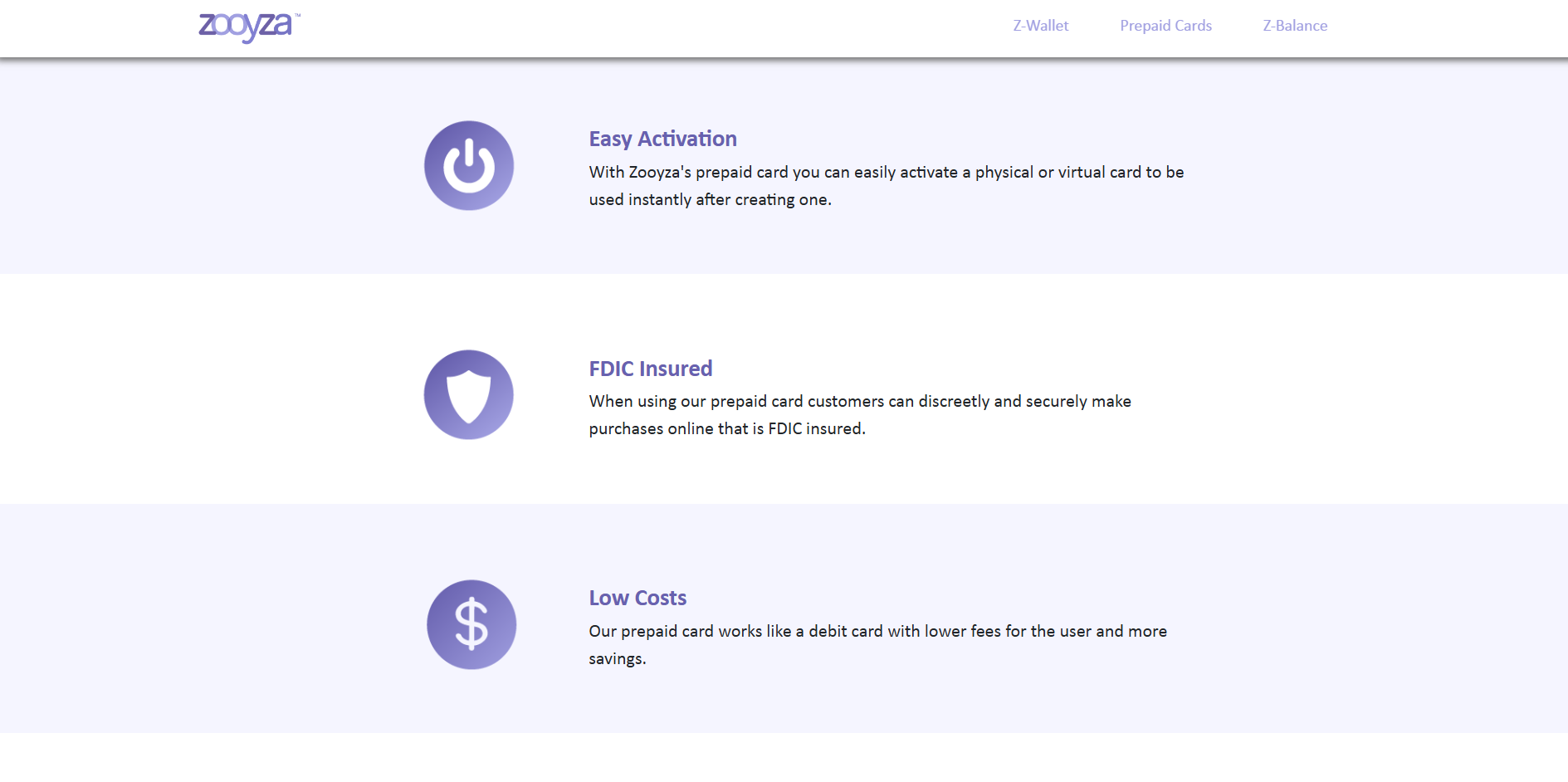 Zooyza Website Before