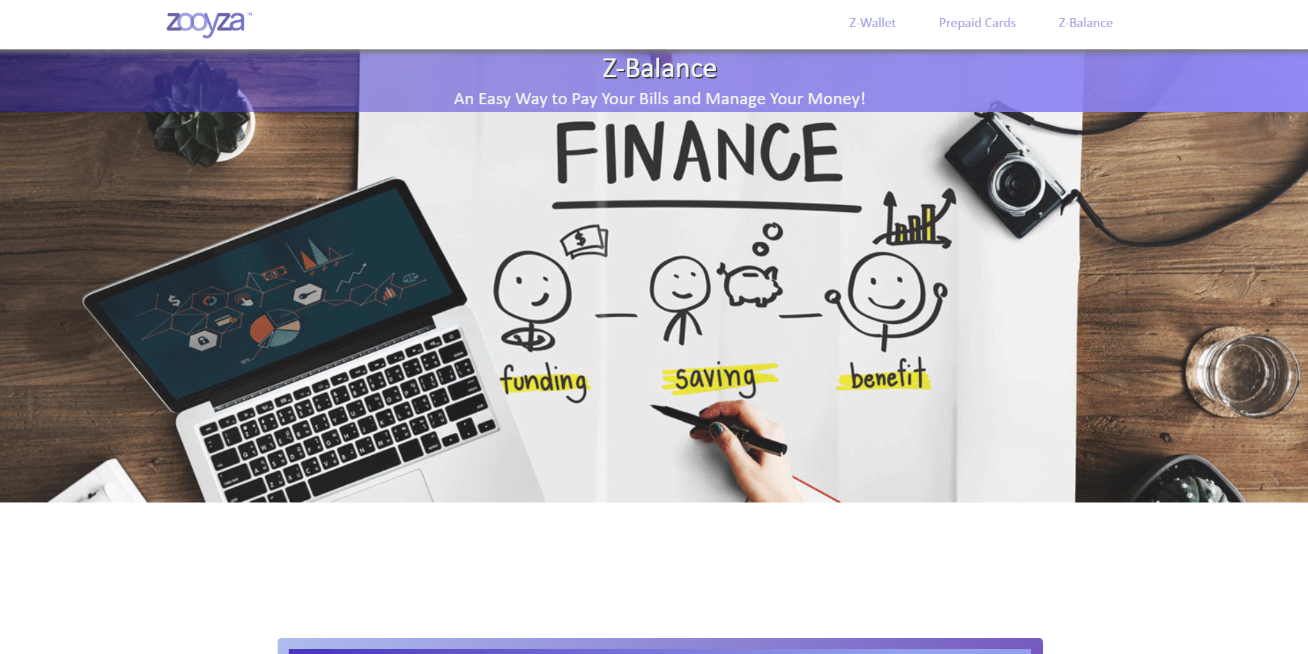 Zooyza Website Before