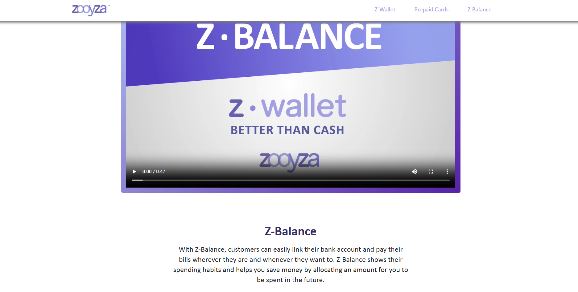 Zooyza Website Before