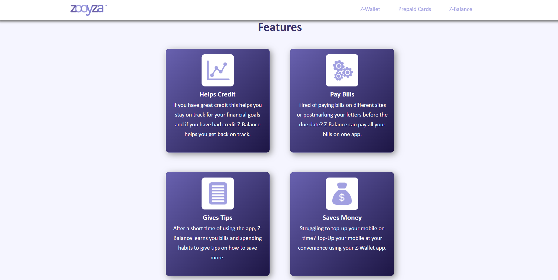 Zooyza Website Before