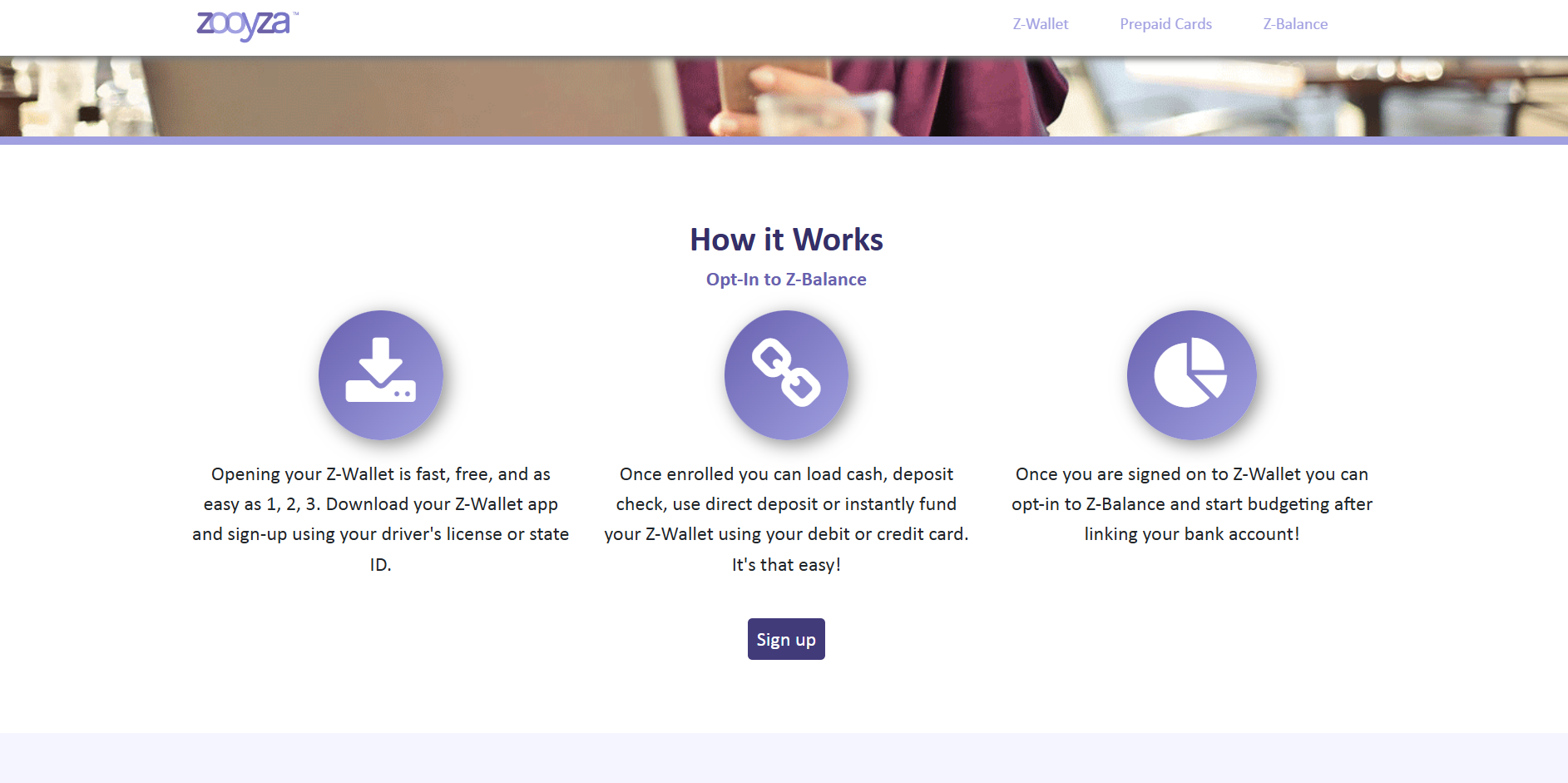 Zooyza Website Before