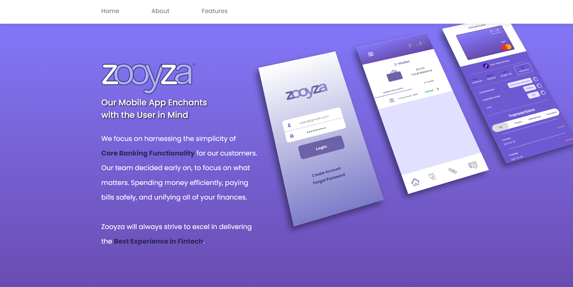 Zooyza Website After