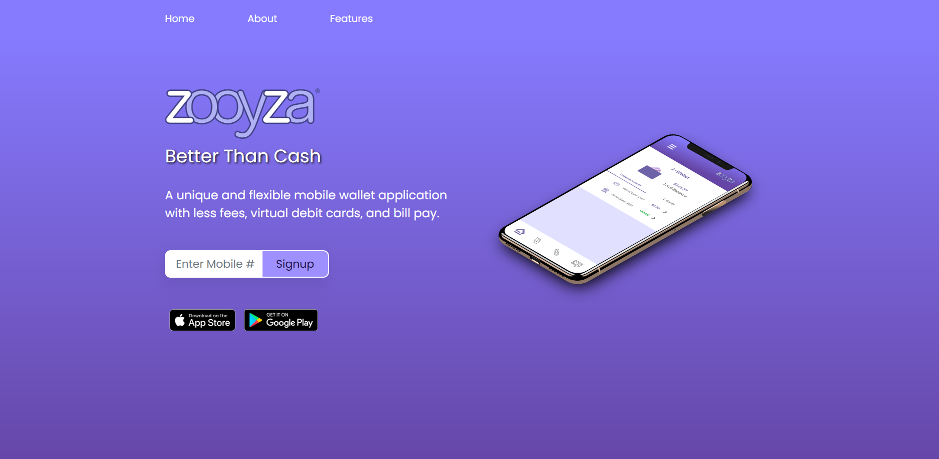 Zooyza Website After